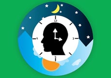 productividad matutina-vs-vespertina